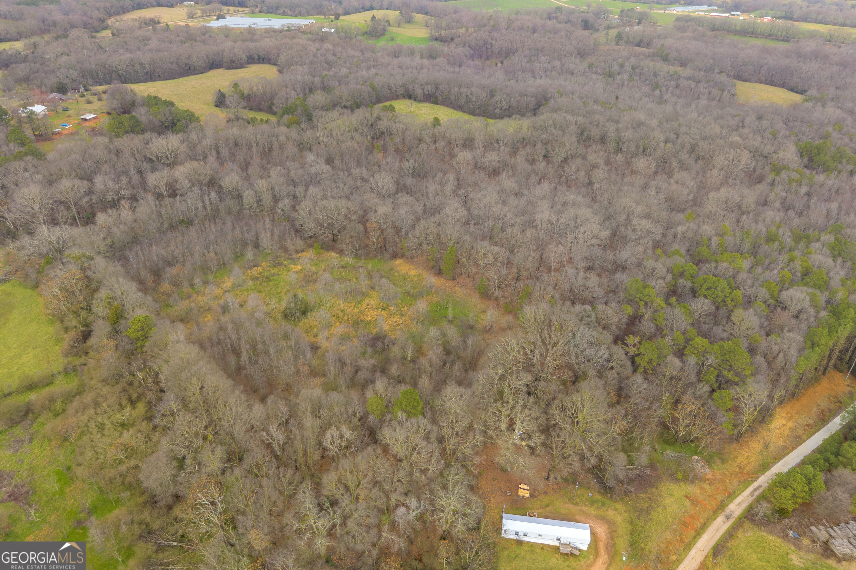 787 Parham Town Road Bowman, GA 30624 - Photo 6 of 49 a close up of a wall