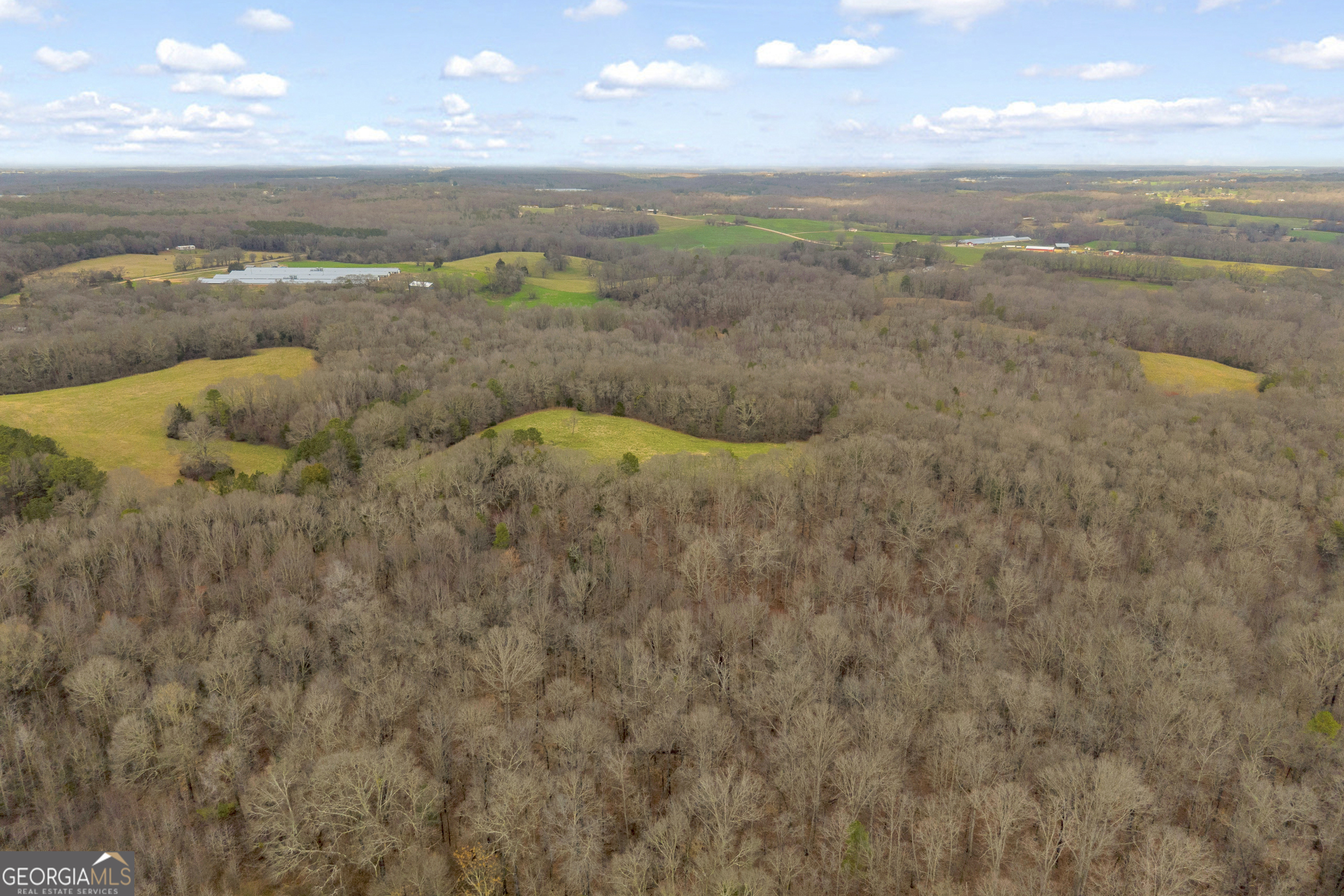 787 Parham Town Road Bowman, GA 30624 - Photo 8 of 49 a view of a lake with mountains in the background