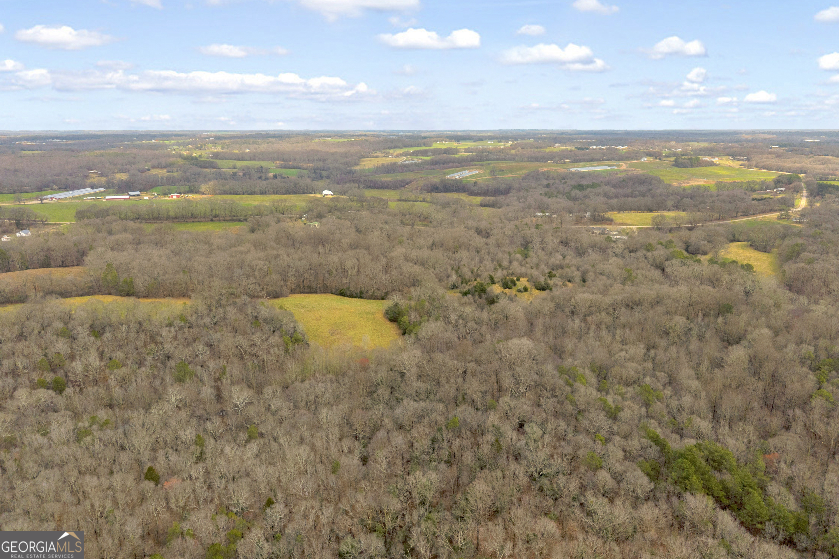 787 Parham Town Road Bowman, GA 30624 - Photo 10 of 49 a view of an ocean and beach