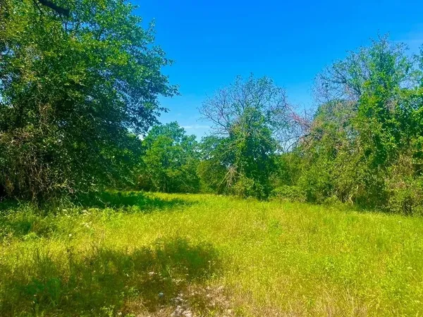 $109,000 | Lot 98 Arlow Road, Poolville, TX 76487