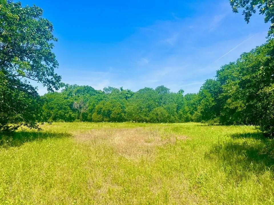 Lot 98 Arlow Road Poolville, TX 76487 - Photo 2 of 3 View of landscape