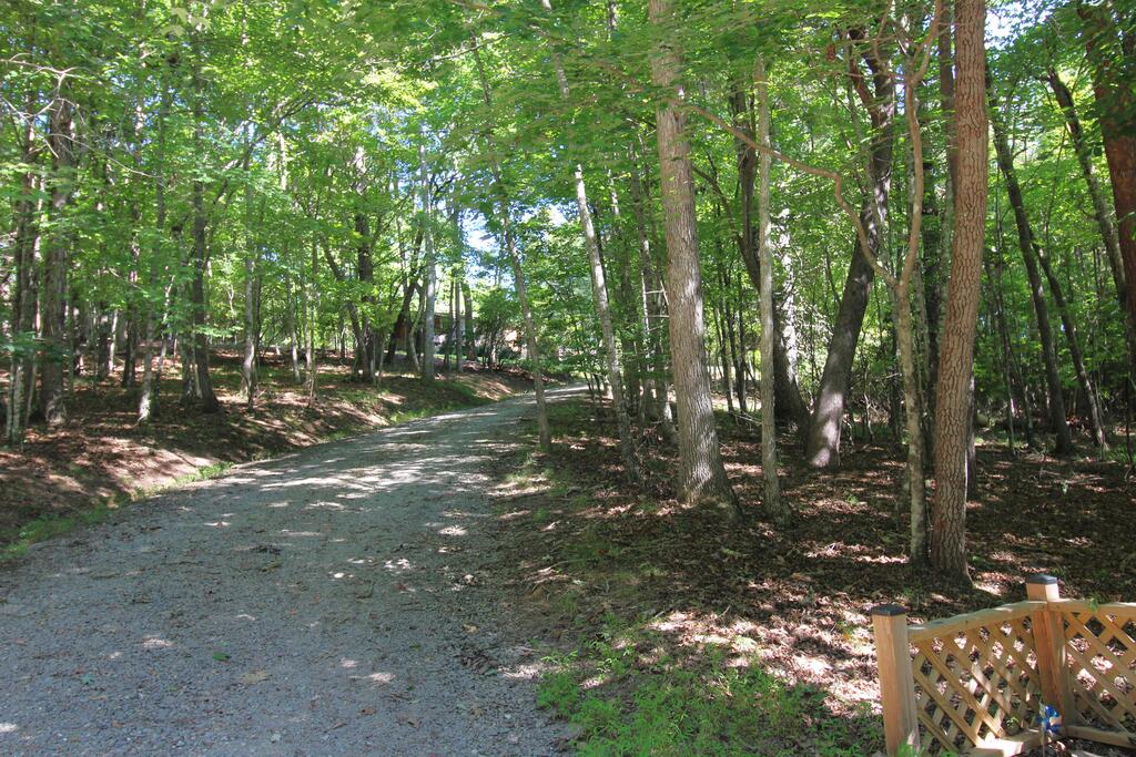 46 Arthur Ridge Brasstown, NC 28902 - Photo 21 of 31 Gallery Image 21