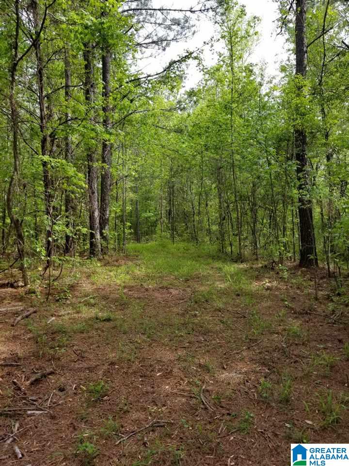 0 Gould Road Columbiana, AL 35051 - Photo 6 of 7