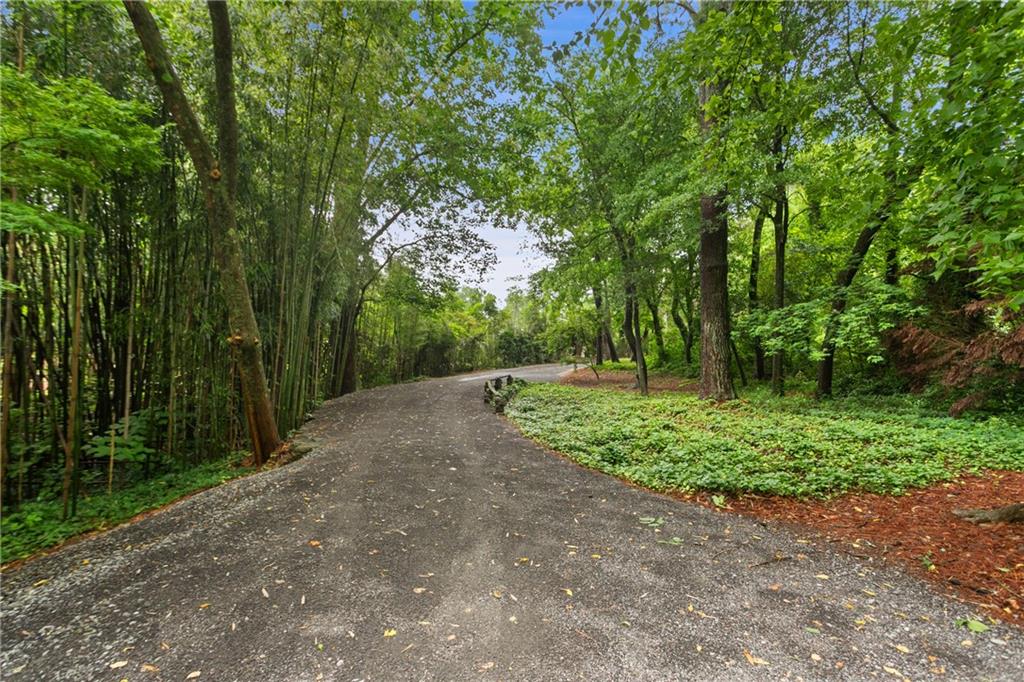 1025 Rays Road Stone Mountain, GA 30083 - Photo 4 of 56