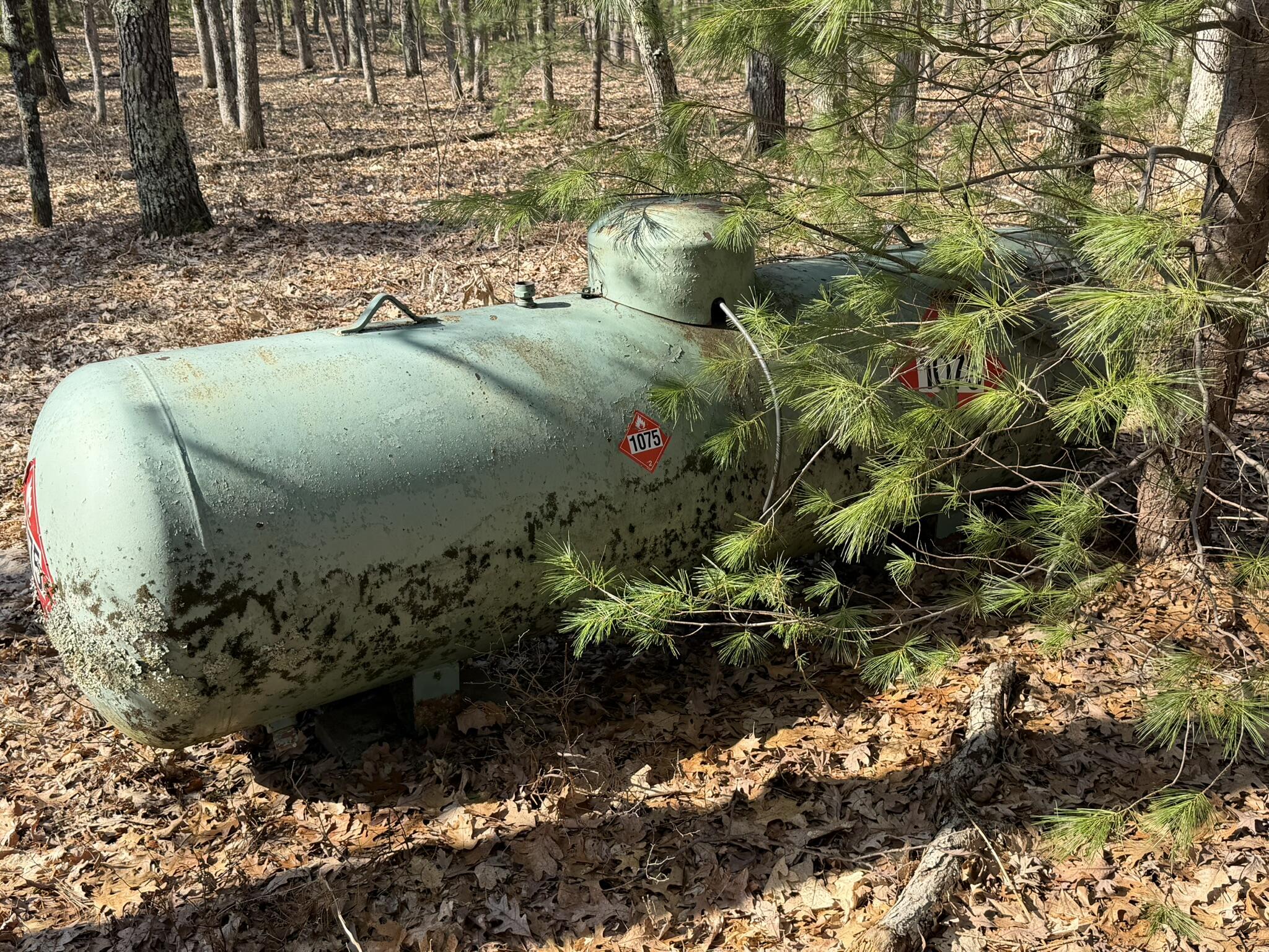 7363 Riverside Drive Manistee, MI 49660 - Photo 19 of 29 Propane