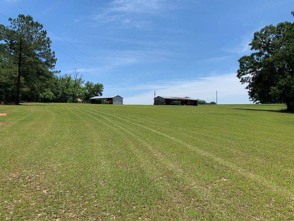 0 South Co Road Ashford, AL 36312 - Photo 8 of 16
