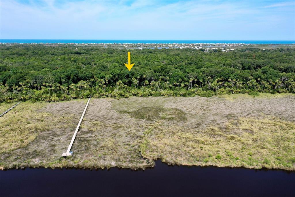 73 Bridle Ridge Court Flagler Beach, FL 32136 - Photo 72 of 90