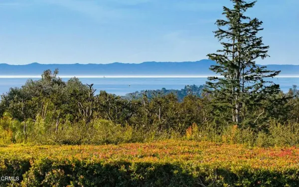 a view of ocean with green space