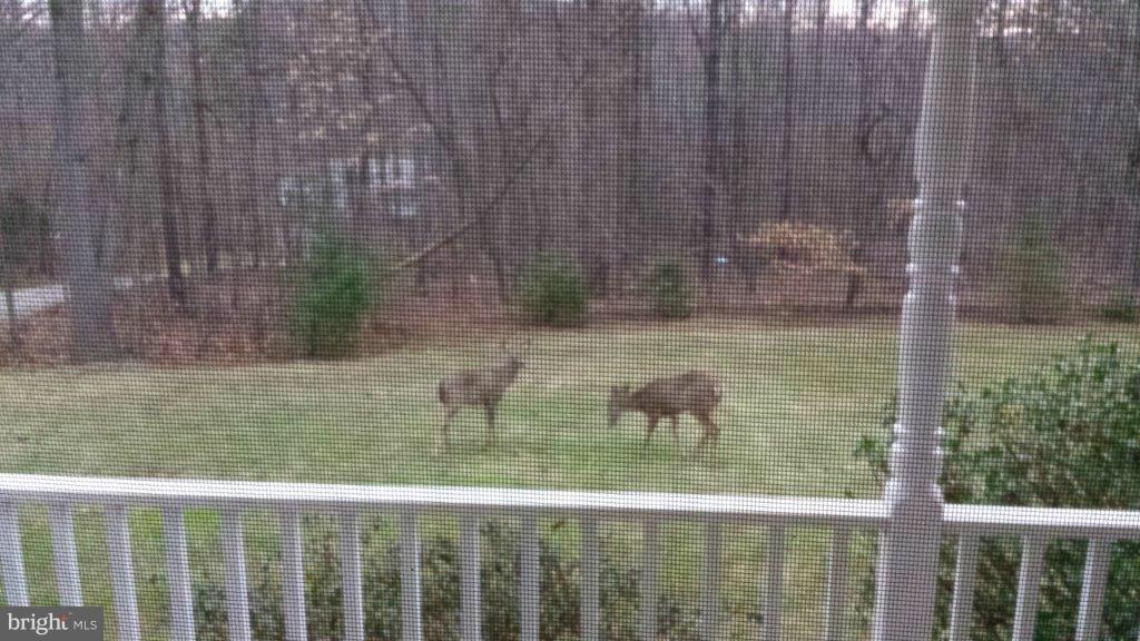 3321 Green Road White Hall, MD 21161 - Photo 25 of 27 View