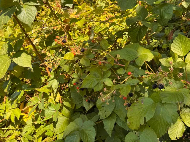 $149,300 | 25 Sweat Street, Richford, VT 05476