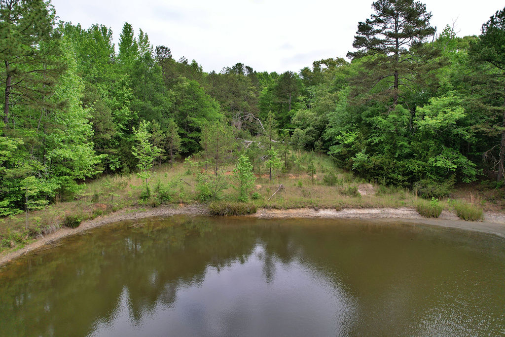 605 State Rd S-4-555 Iva, SC 29655 - Photo 14 of 21