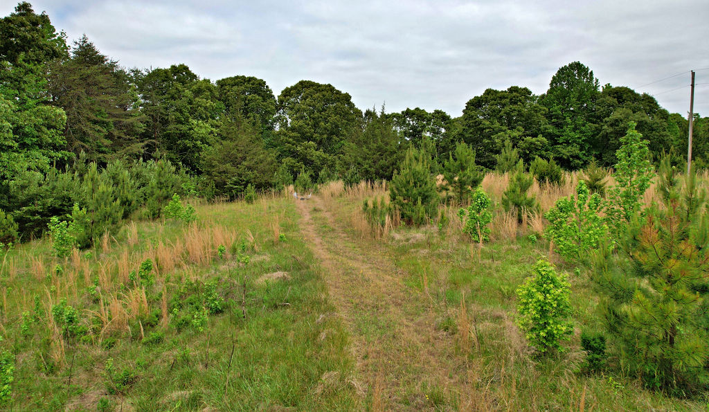605 State Rd S-4-555 Iva, SC 29655 - Photo 6 of 21