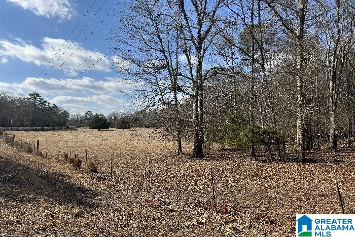 1036 Rushing Springs Road Lincoln, AL 35096 - Photo 53 of 58