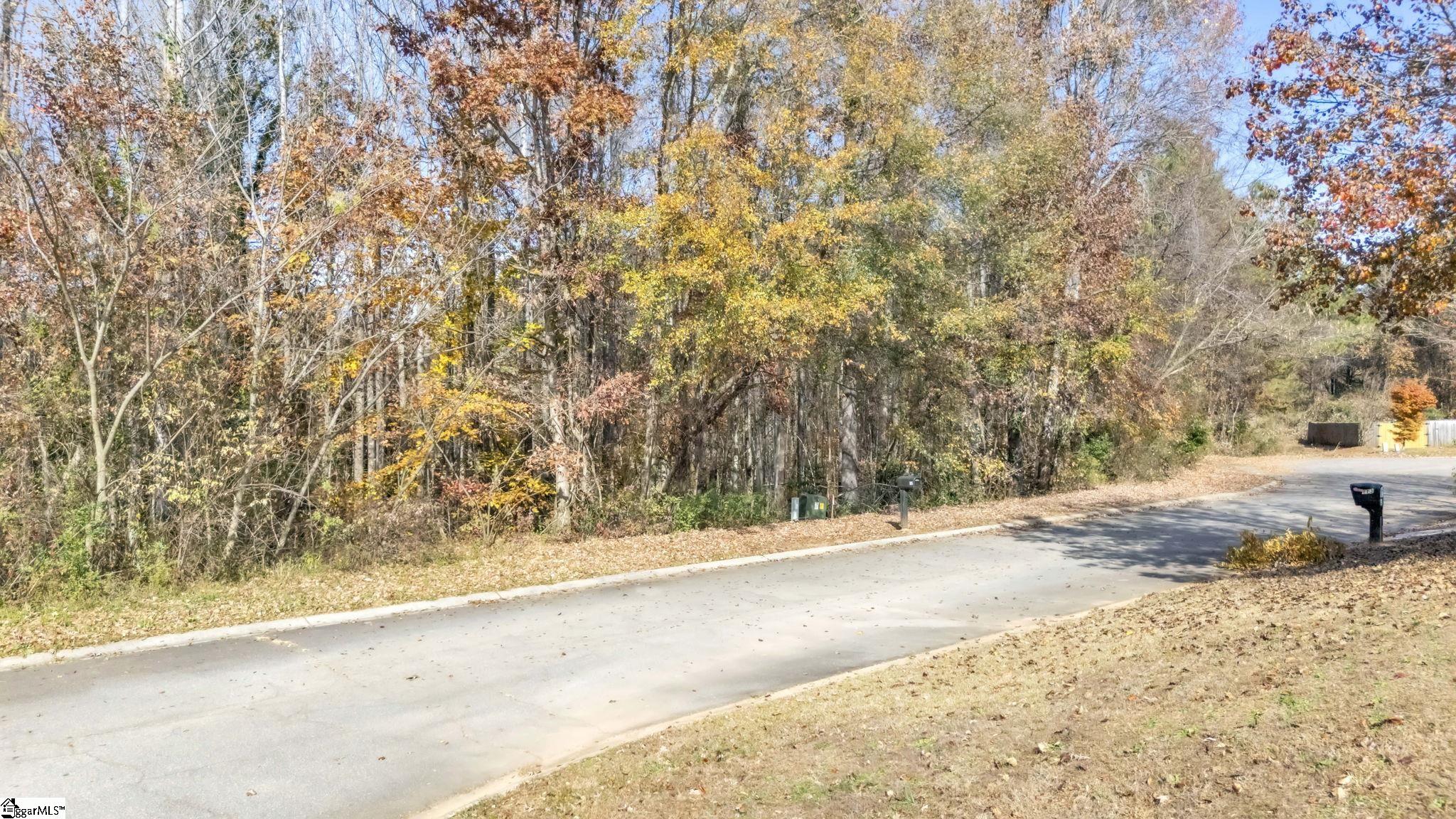 116 Joes Court Easley, SC 29642 - Photo 1 of 12