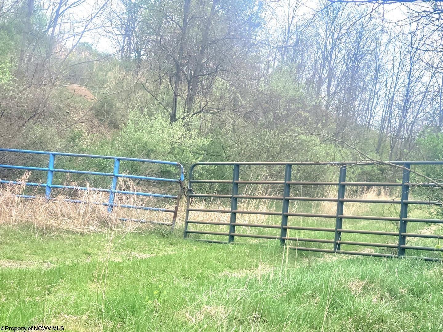 0 Casteel Road Bruceton Mills, WV 26525 - Photo 16 of 16 Gallery Image 16