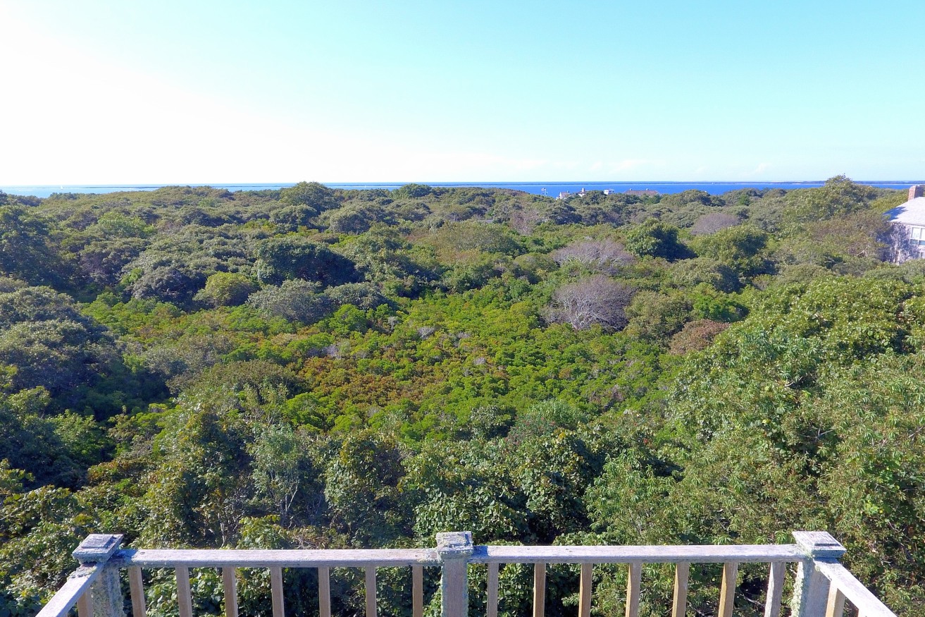 58 Wauwinet Road Nantucket, MA 02554 - Photo 28 of 28 Gallery Image 28