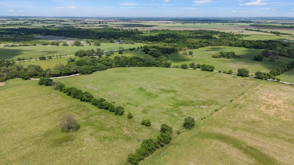 11742 Dane Road Pilot Point, TX 76258 - Photo 23 of 37 a view of a lush green field with lots of plants in it