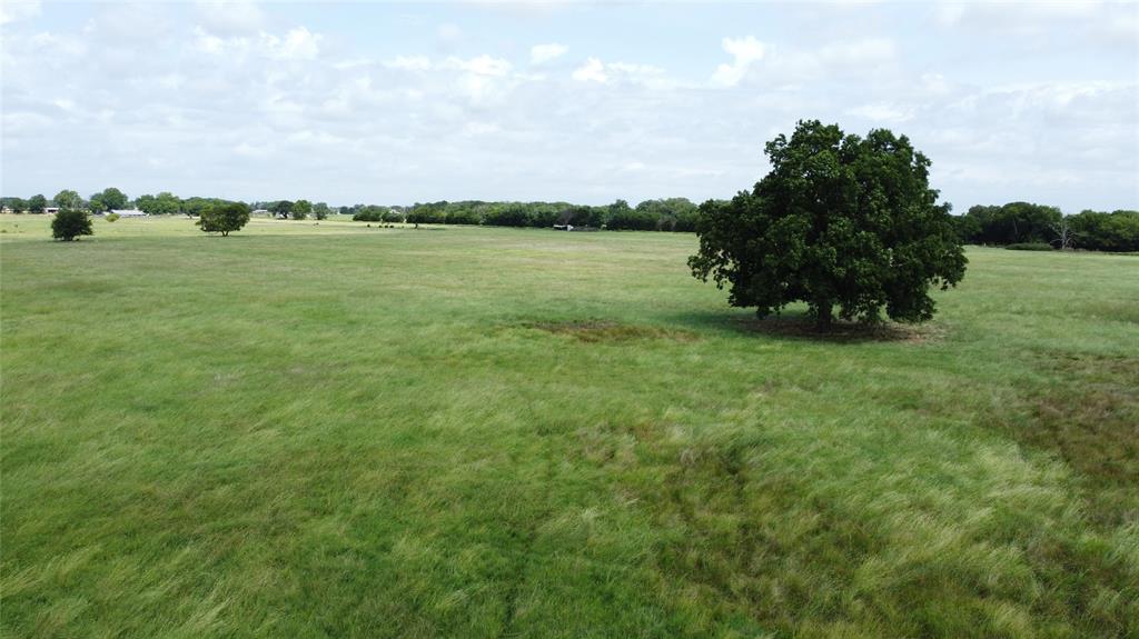 11742 Dane Road Pilot Point, TX 76258 - Photo 8 of 37 a view of a garden with a building in the background