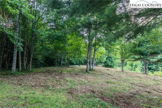 $59,000 | Tbd Lot 16 Tbd Lane, Todd, NC 28684