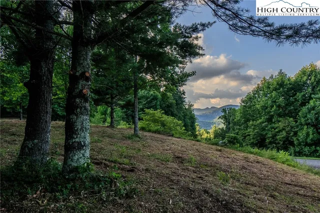 $59,000 | Tbd Lot 16 Tbd Lane, Todd, NC 28684