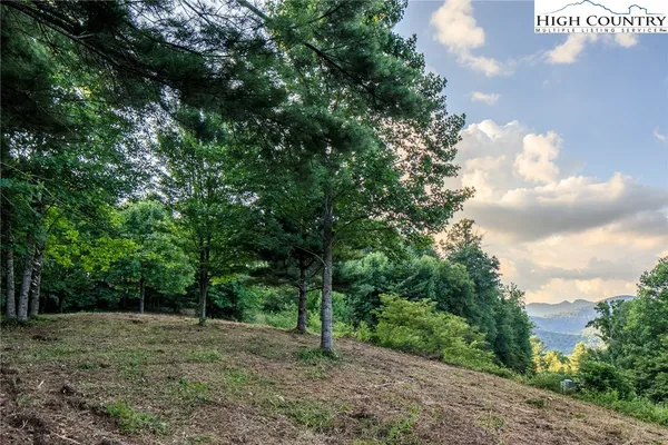 $59,000 | Tbd Lot 16 Tbd Lane, Todd, NC 28684