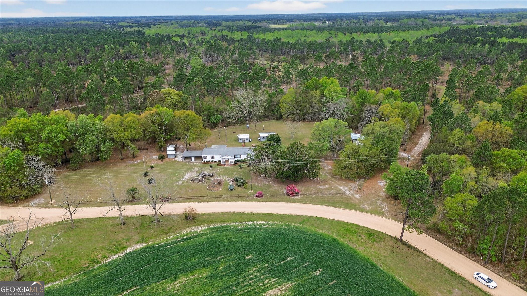 13541 Pine Burr Road Metter, GA 30439 - Photo 38 of 44 a view of a park with large trees