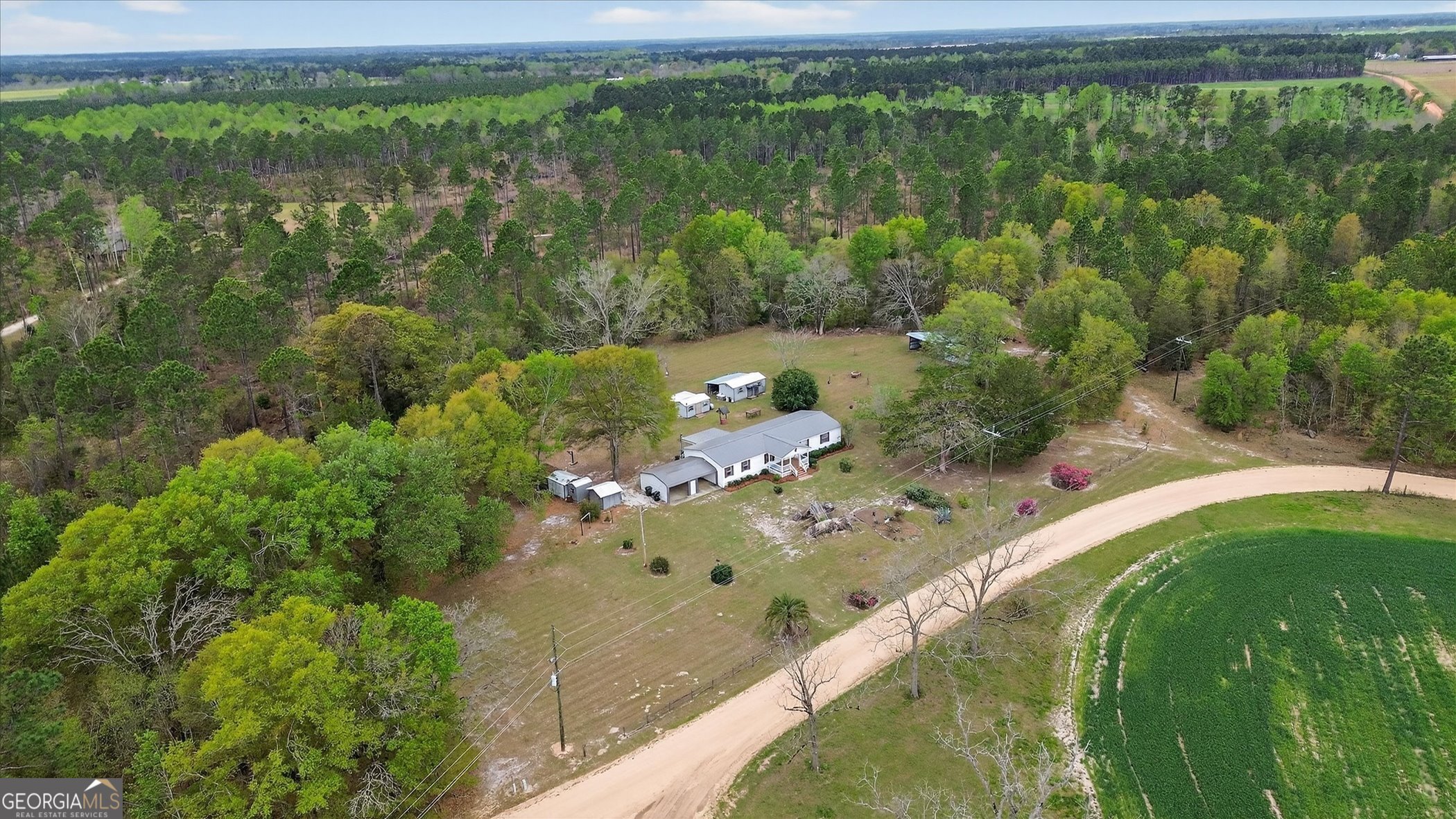 13541 Pine Burr Road Metter, GA 30439 - Photo 41 of 44 a view of a lake with a yard
