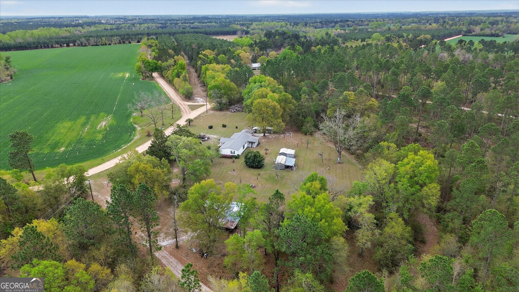 13541 Pine Burr Road Metter, GA 30439 - Photo 42 of 44 an aerial view of green landscape with trees houses and mountain view