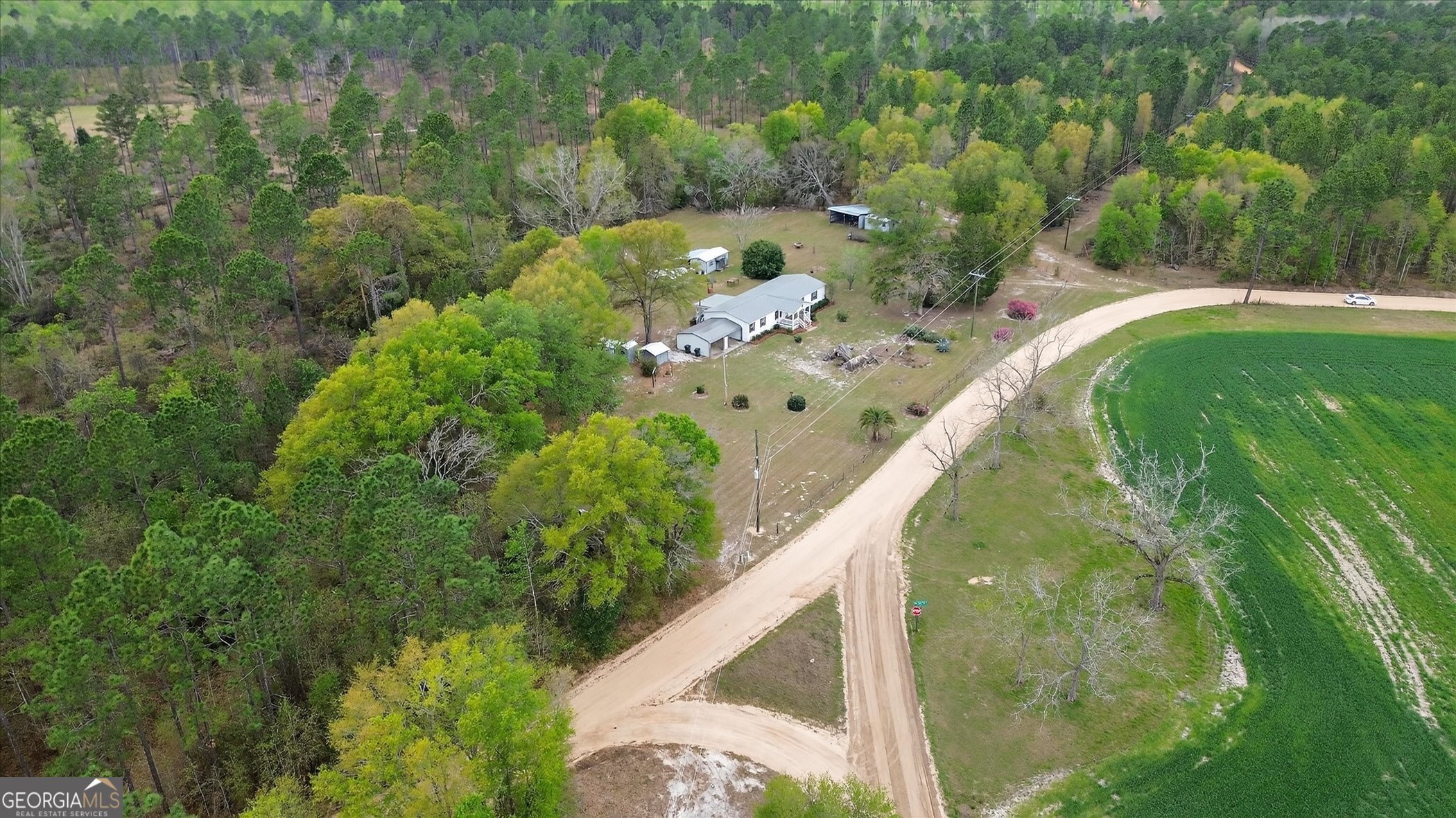13541 Pine Burr Road Metter, GA 30439 - Photo 44 of 44 a view of a lake with a yard