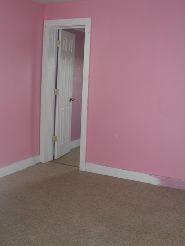 4103 East 7th Road Mendota, IL 61342 - Photo 8 of 8