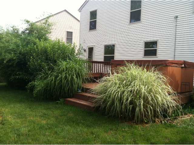 5855 Rothrock Court Galloway, OH 43119 - Photo 15 of 18 Gallery Image 15