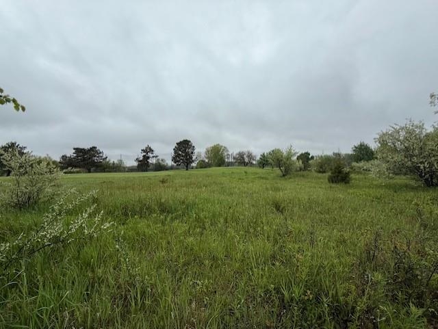 Tbd Prospect St. Louis, MI 48880 - Photo 21 of 23