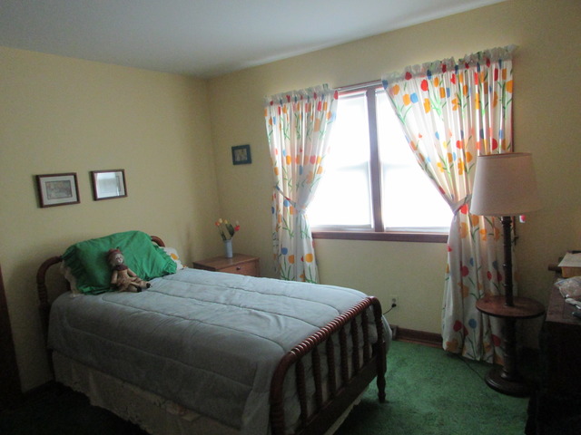 422 North Tyler Road St. Charles, IL 60174 - Photo 14 of 21
