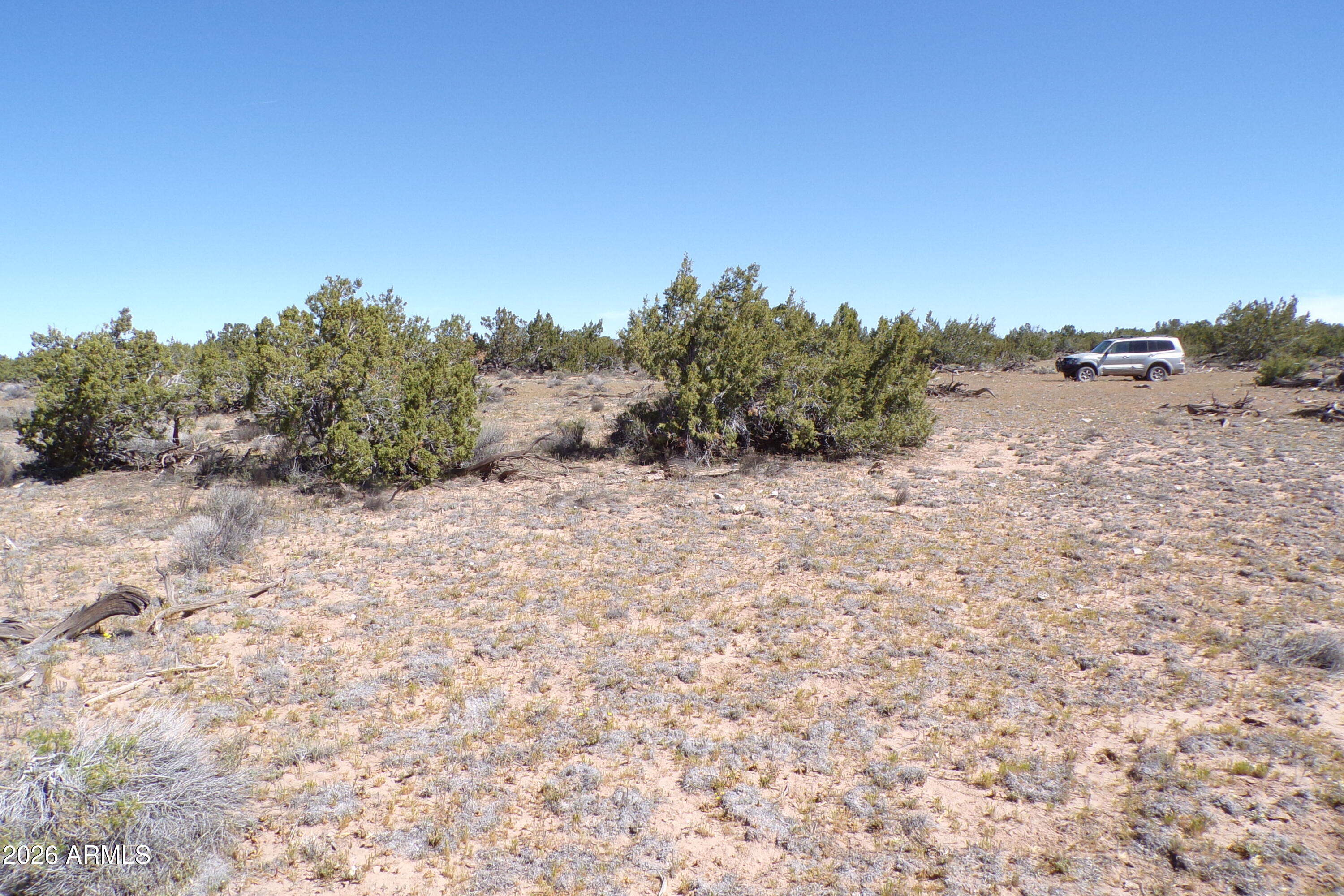 0 Ranch Road Sanders, AZ 86512 - Photo 19 of 42 a view of a dry yard with trees in the background