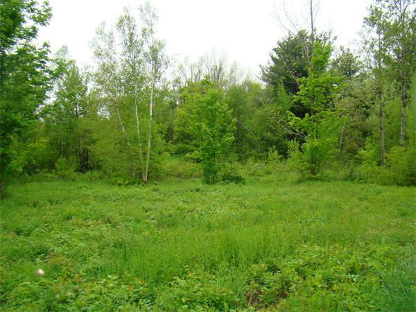 Lot 3 Main Road Granville, MA 01034 - Photo 3 of 9 Gallery Image 3