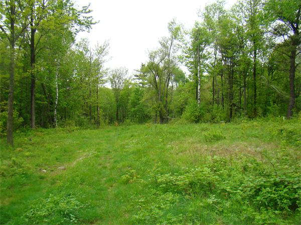 Lot 3 Main Road Granville, MA 01034 - Photo 4 of 9 Gallery Image 4