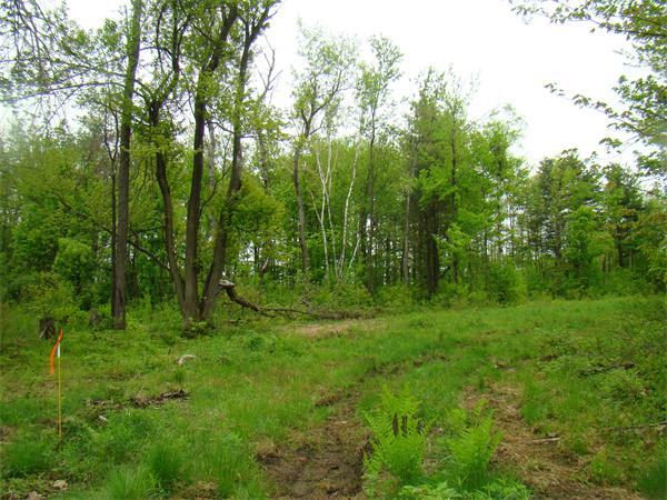 Lot 3 Main Road Granville, MA 01034 - Photo 5 of 9 Gallery Image 5