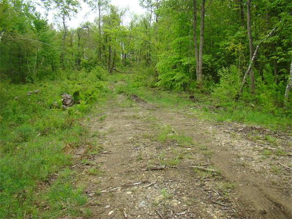 Lot 3 Main Road Granville, MA 01034 - Photo 6 of 9 Gallery Image 6