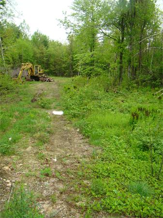 Lot 3 Main Road Granville, MA 01034 - Photo 7 of 9 Gallery Image 7