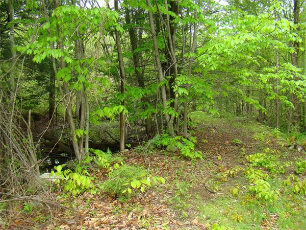 Lot 3 Main Road Granville, MA 01034 - Photo 8 of 9 Gallery Image 8