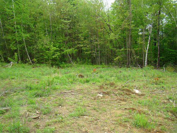 Lot 3 Main Road Granville, MA 01034 - Photo 9 of 9 Gallery Image 9