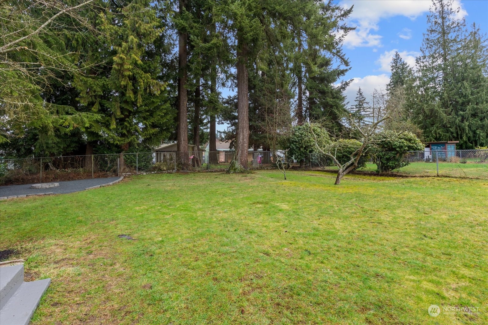 6919 Cady Road Everett, WA 98203 - Photo 38 of 39 a view of a yard with a tree