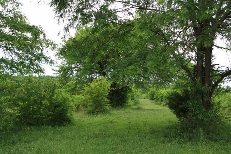 1640 Cane Run Road Carlisle, KY 40311 - Photo 10 of 32 Photo 10