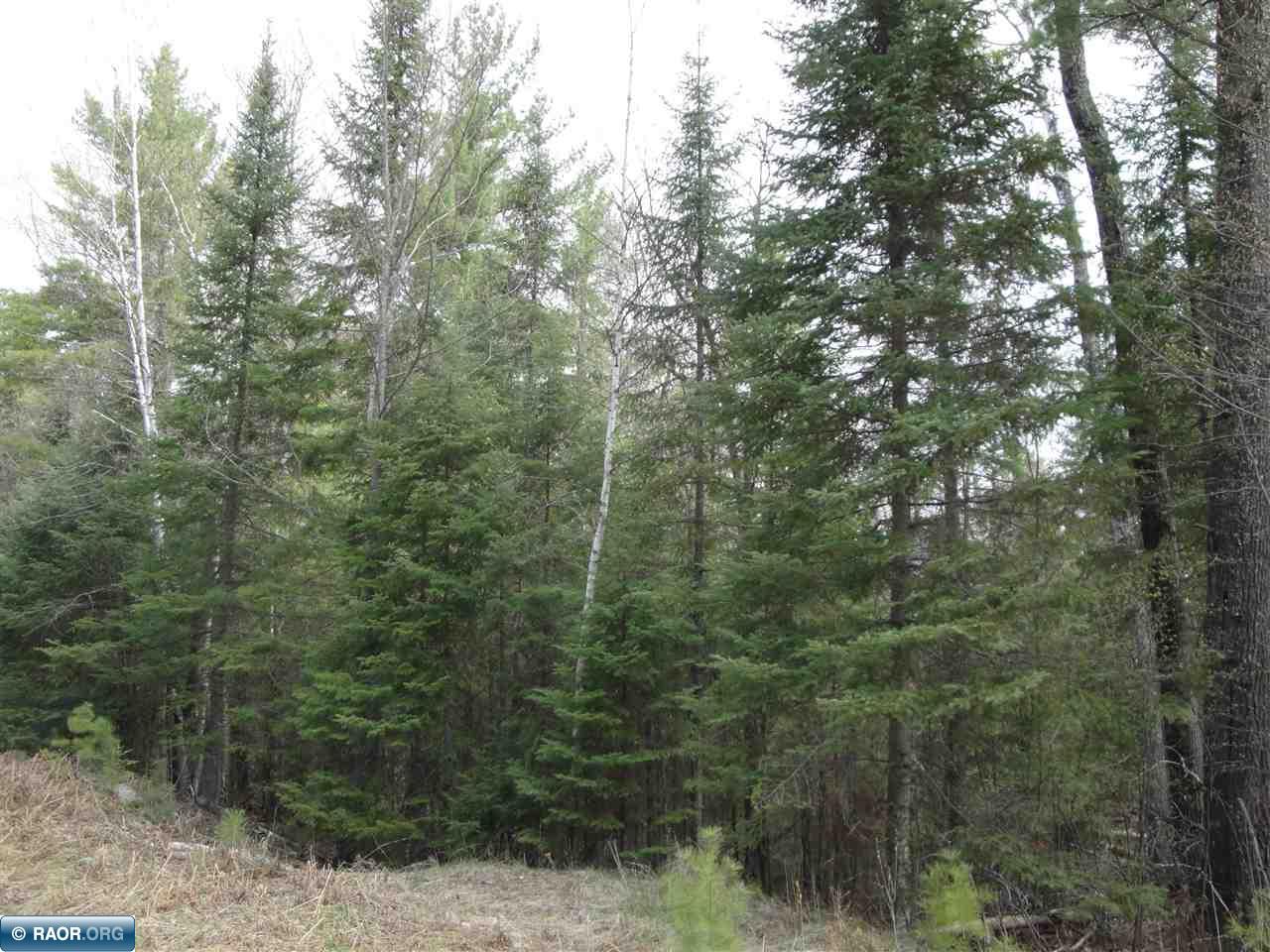 Tbd Swanson Shores Road Ely, MN 55731 - Photo 1 of 7