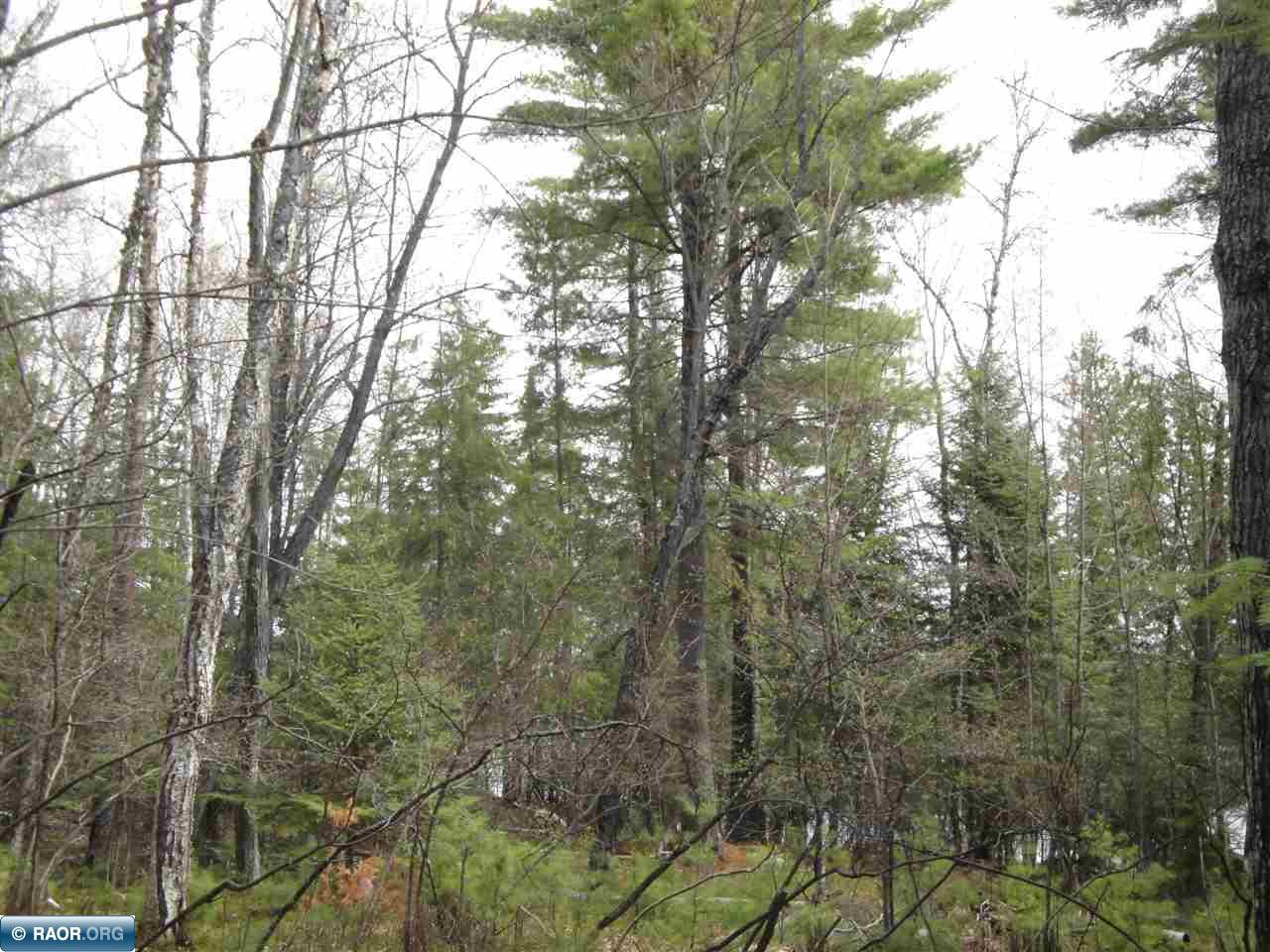 Tbd Swanson Shores Road Ely, MN 55731 - Photo 3 of 7