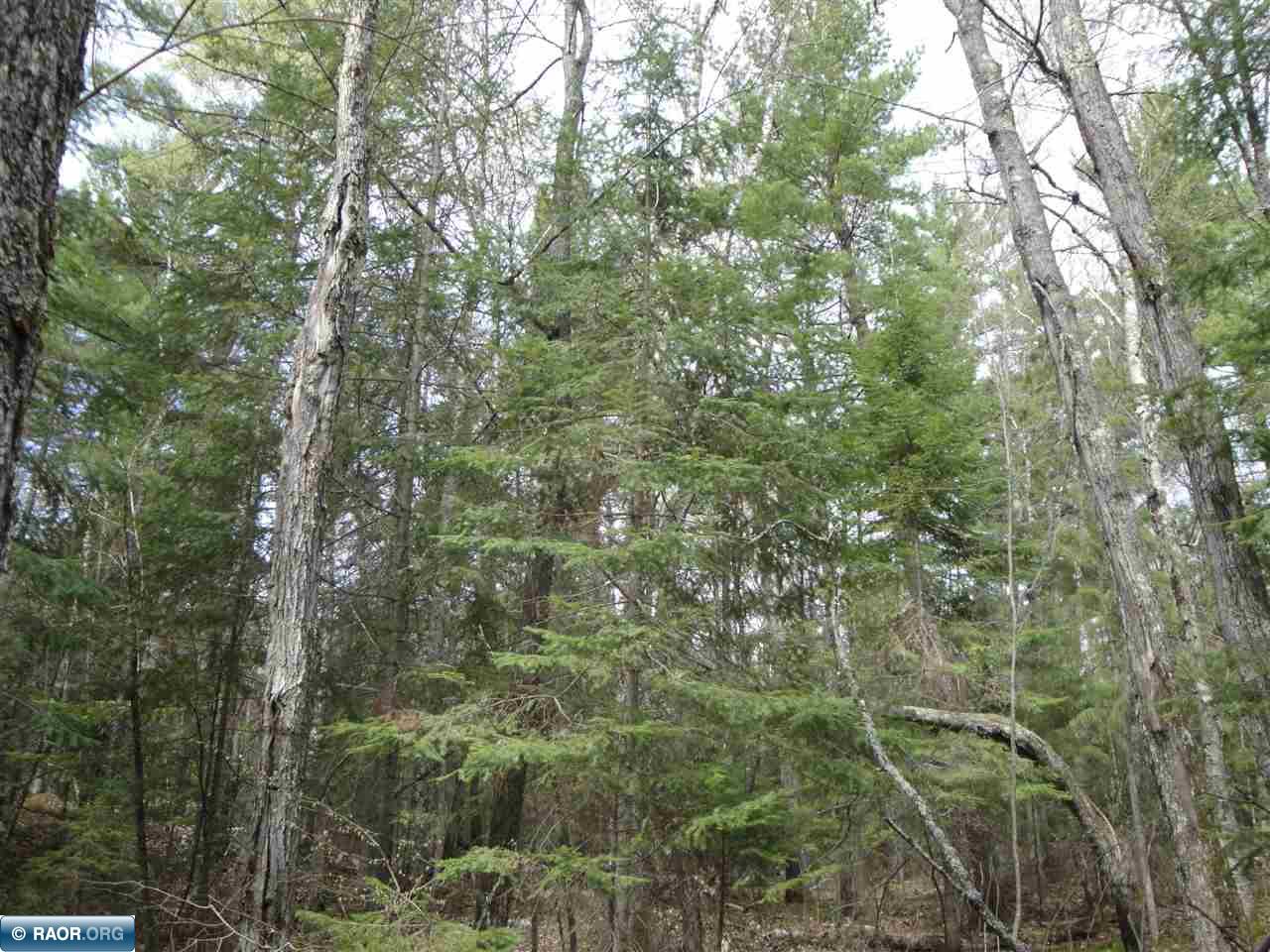 Tbd Swanson Shores Road Ely, MN 55731 - Photo 4 of 7