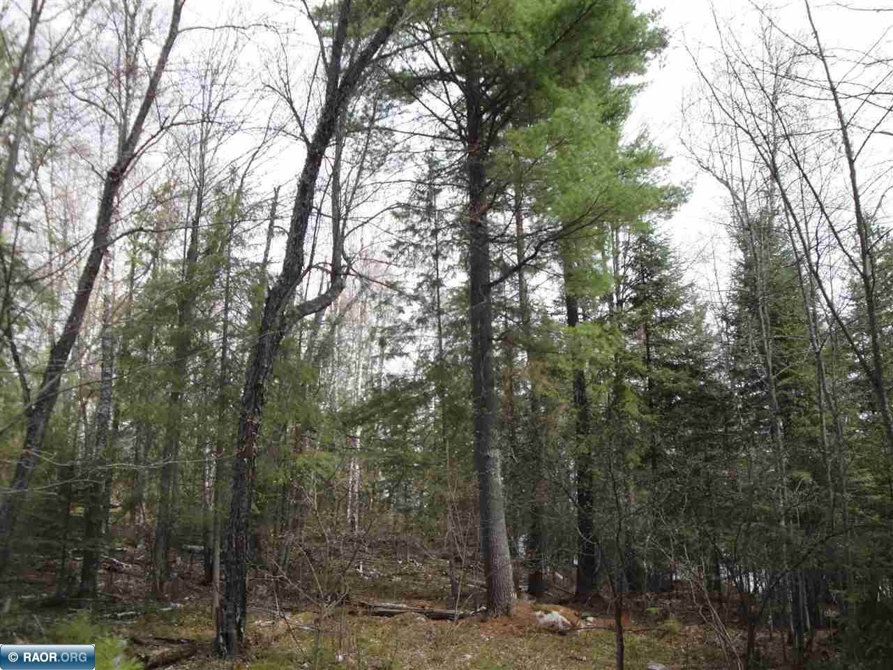 Tbd Swanson Shores Road Ely, MN 55731 - Photo 5 of 7