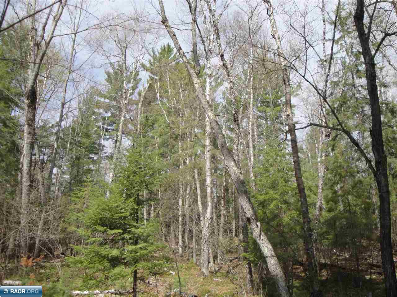 Tbd Swanson Shores Road Ely, MN 55731 - Photo 6 of 7