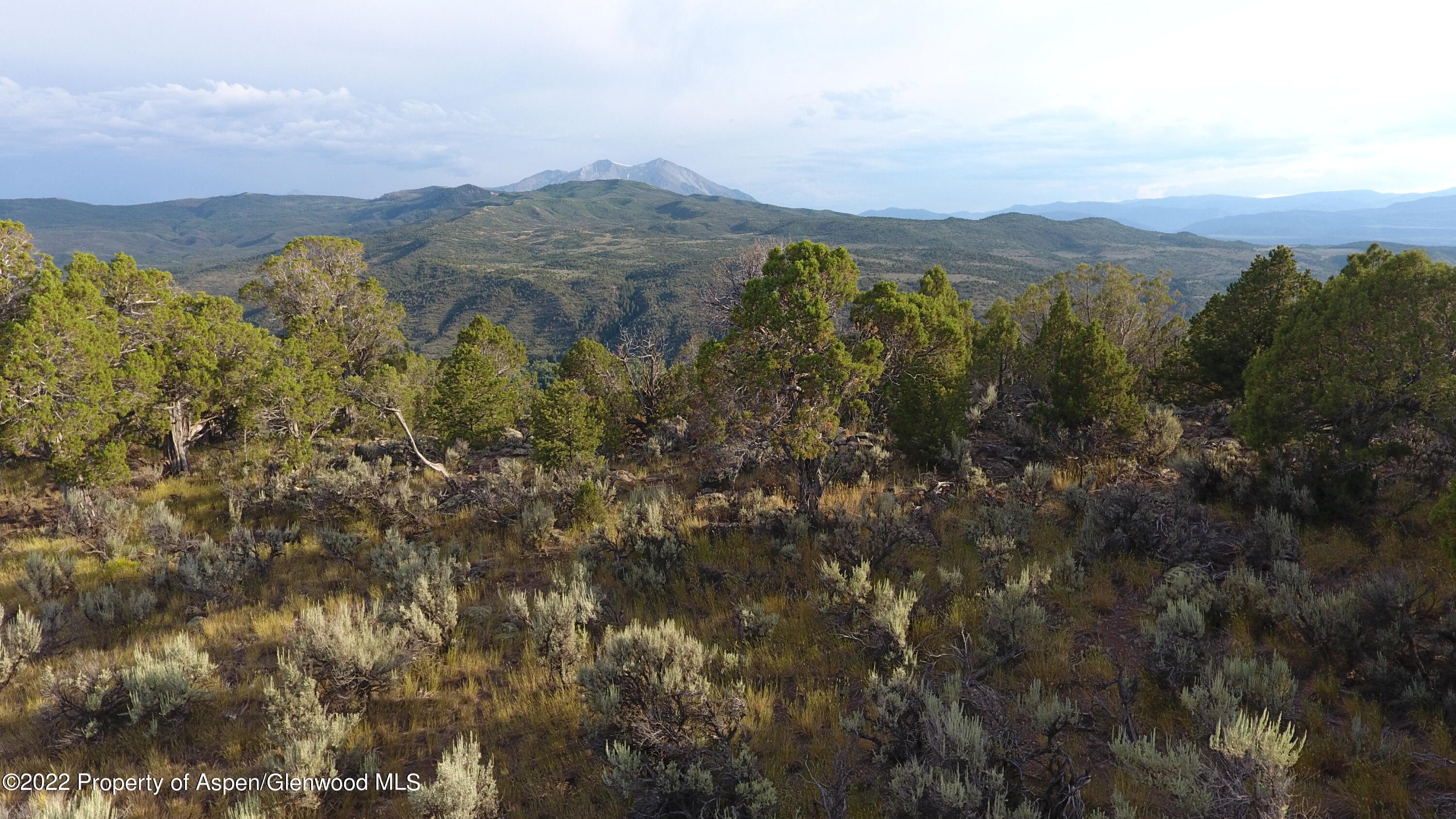 598 Whitecloud Road Carbondale, CO 81623 - Photo 2 of 10 Lot 9_7