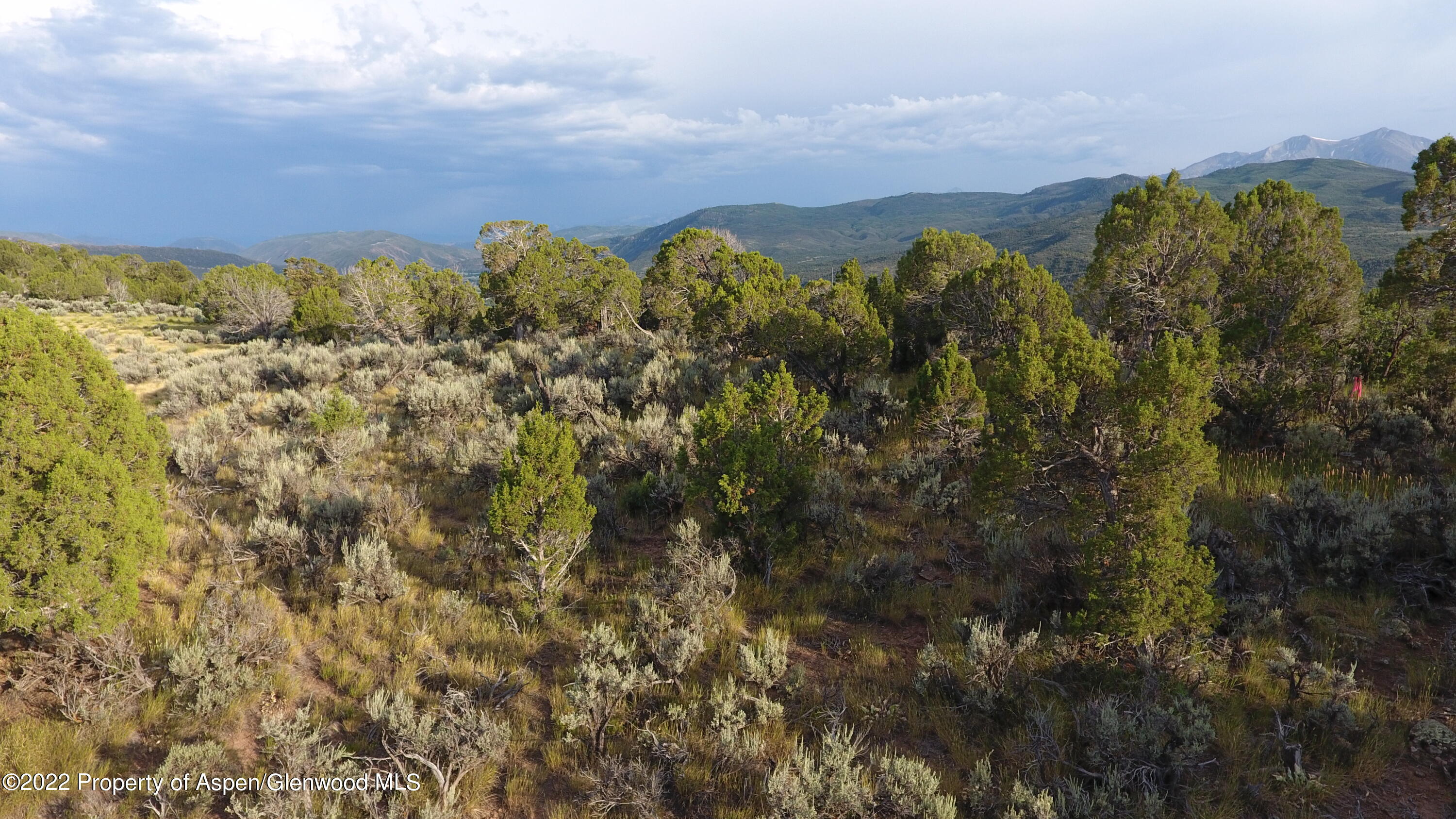 598 Whitecloud Road Carbondale, CO 81623 - Photo 4 of 10 Lot 9_2